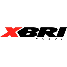 XBRI Logo